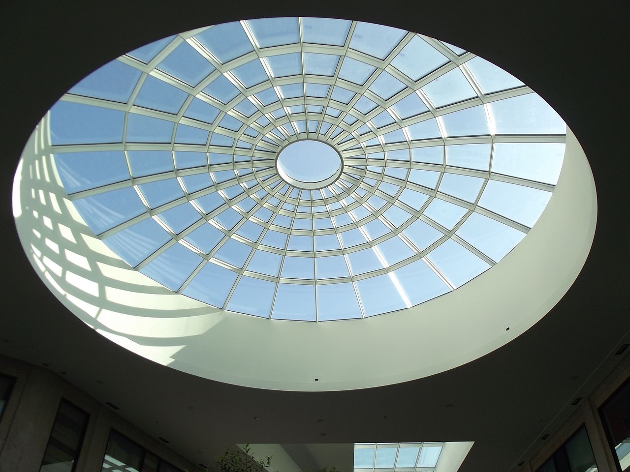 Skylight Detailing services