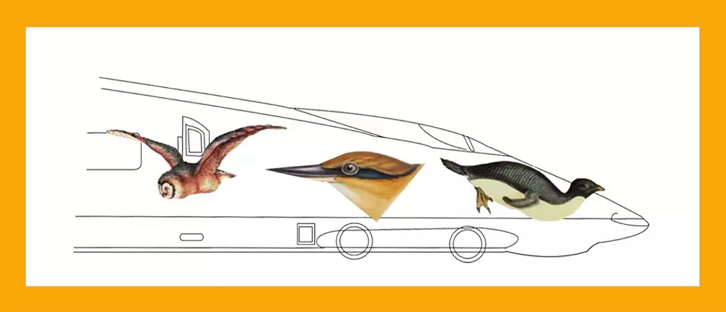 Bullet train model